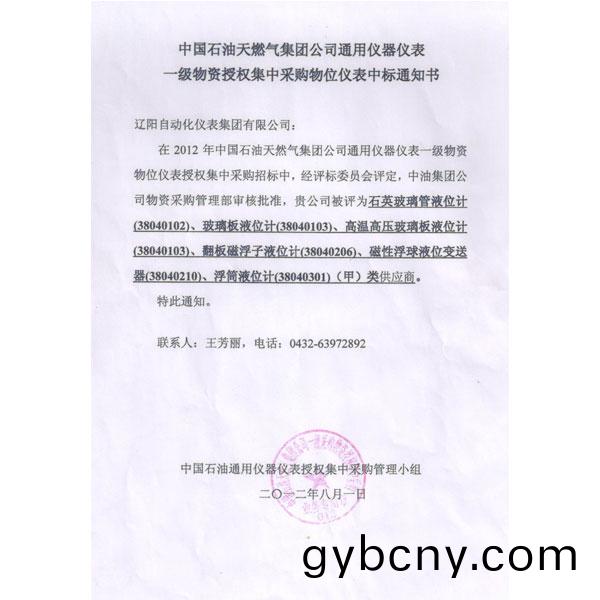 中(zhong)國(guo)石油天(tian)然(ran)氣集(ji)糰公司2012年(nian)通(tong)用儀(yi)器(qi)儀(yi)錶(biao)一級