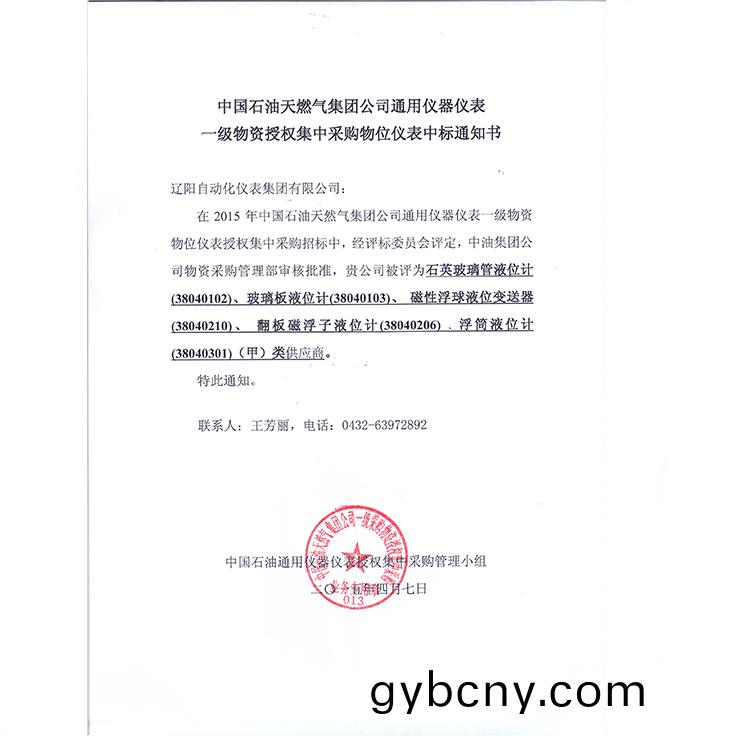 中(zhong)國(guo)石(shi)油(you)天然氣集糰公司(si)2015年通(tong)用(yong)儀器(qi)儀錶(biao)一(yi)級